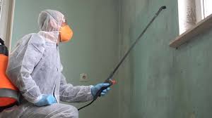 Why You Should Choose Our Mold Remediation Services in Johnson, AR